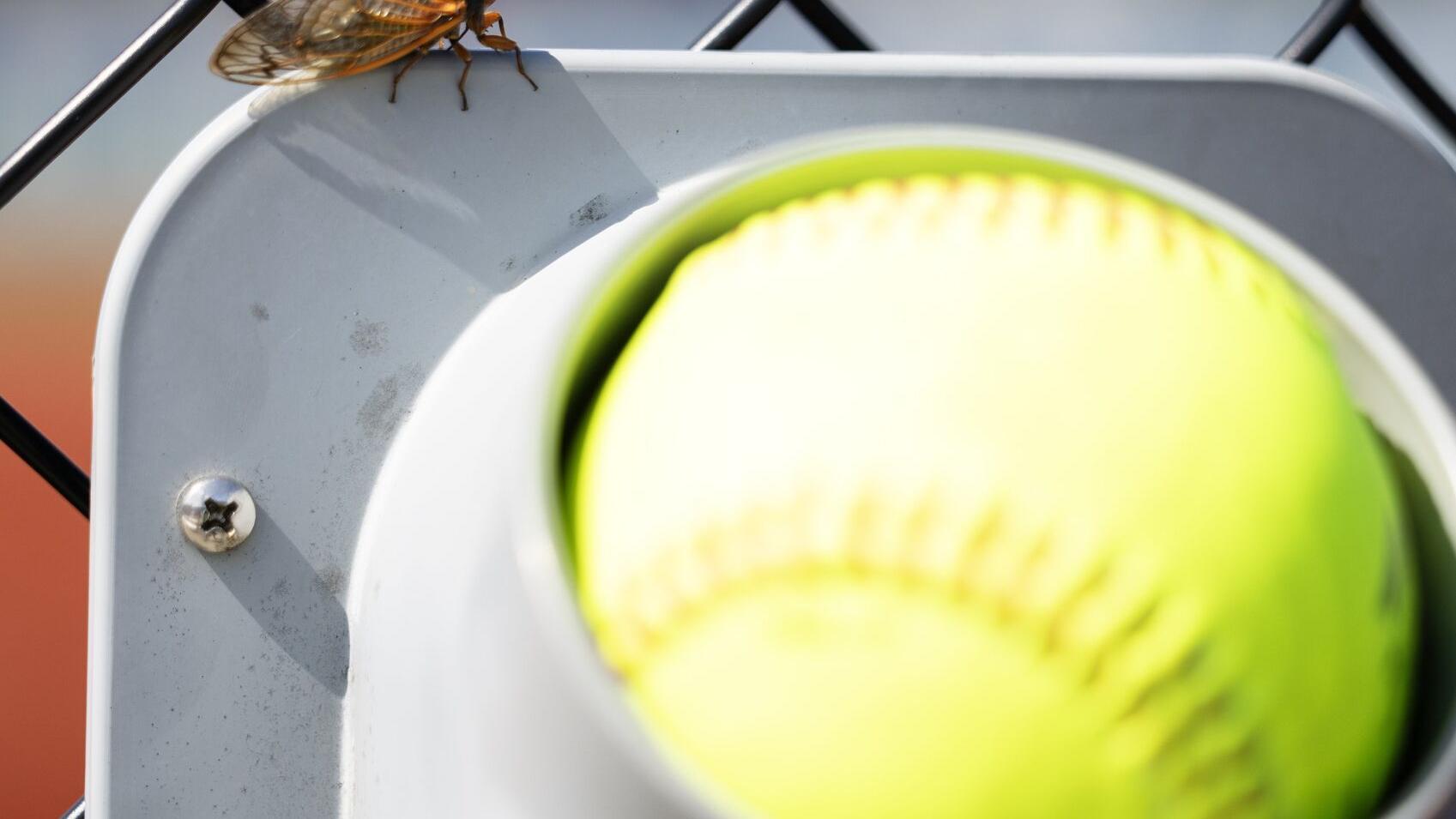 Class 3A Millikin University Super-Sectional: Waterloo 4, Mount Zion 1